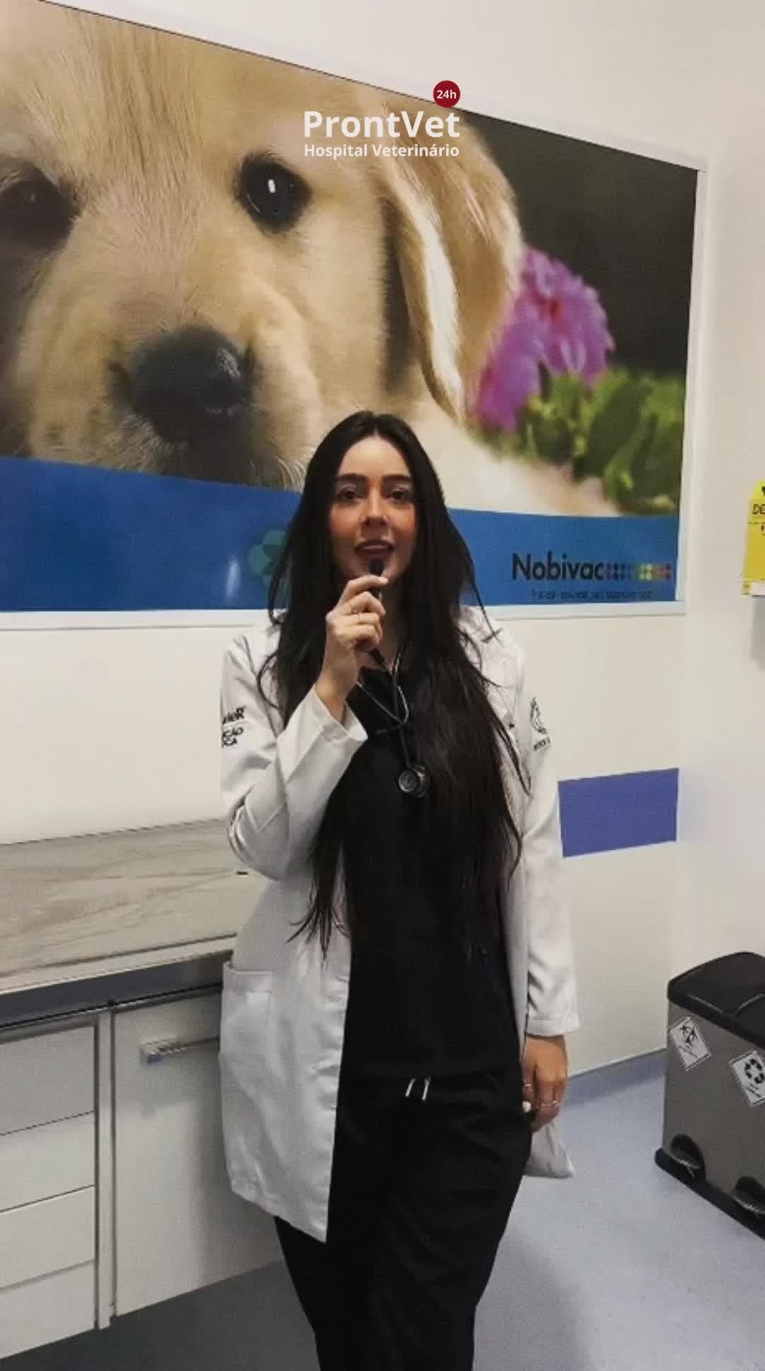 Post 5 by Hospital Veterinário ProntVet 24h on Instagram (video)