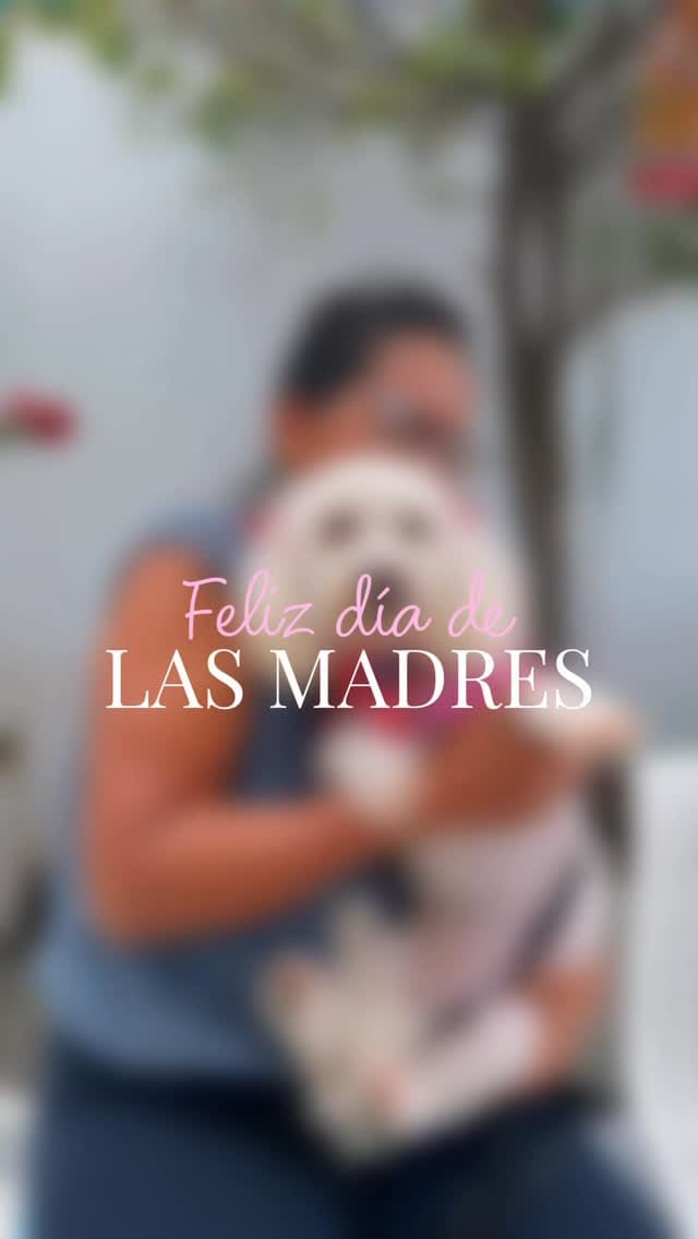 Post 10 by Chivo Pets on Instagram (video)