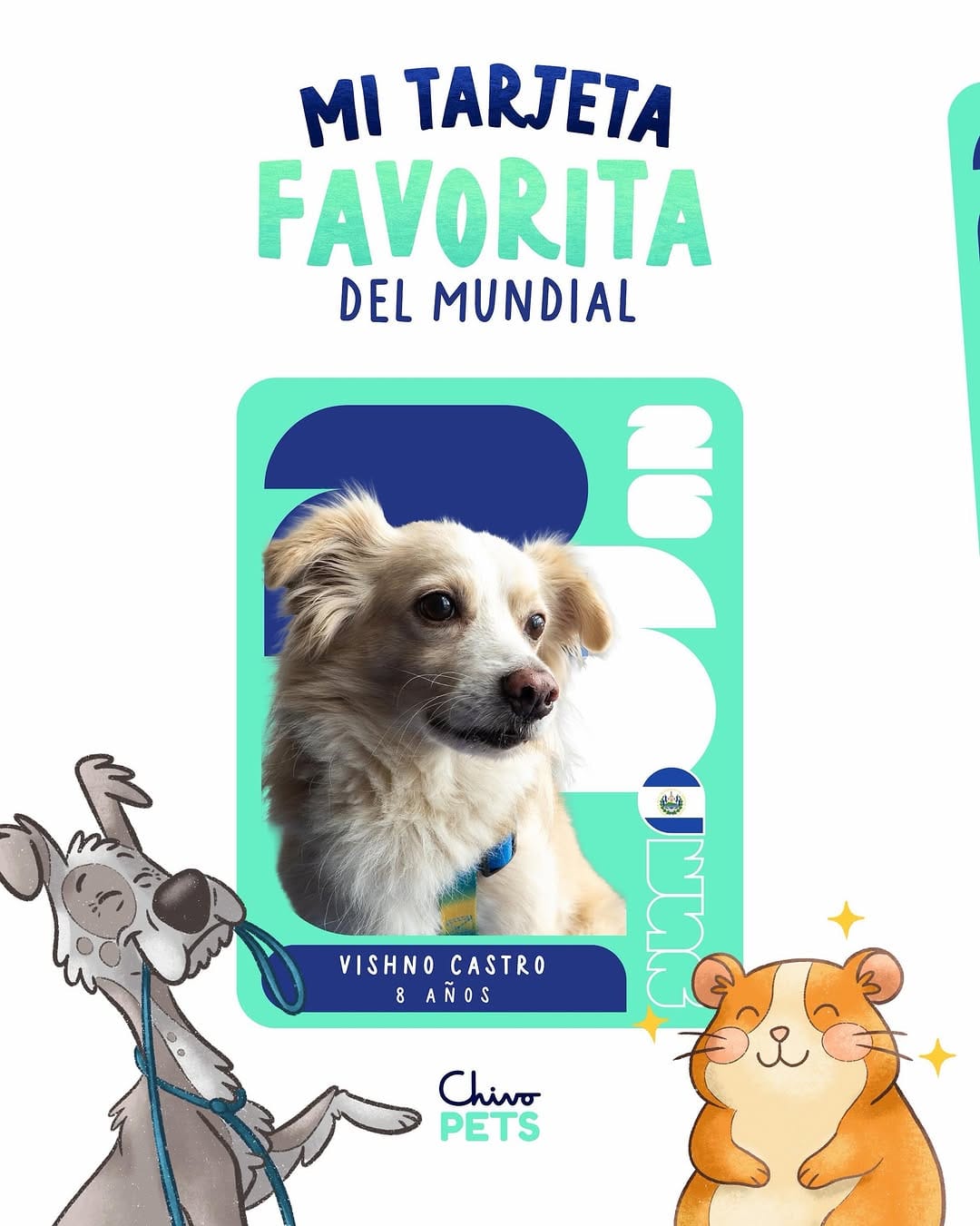 Post 2 by Chivo Pets on Instagram (carousel)