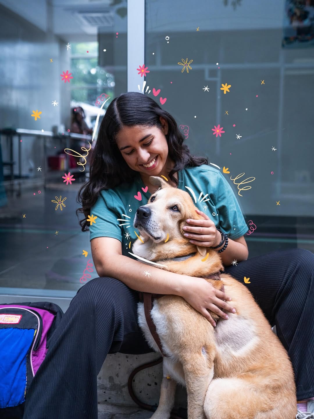 Post 9 by Chivo Pets on Instagram (image)