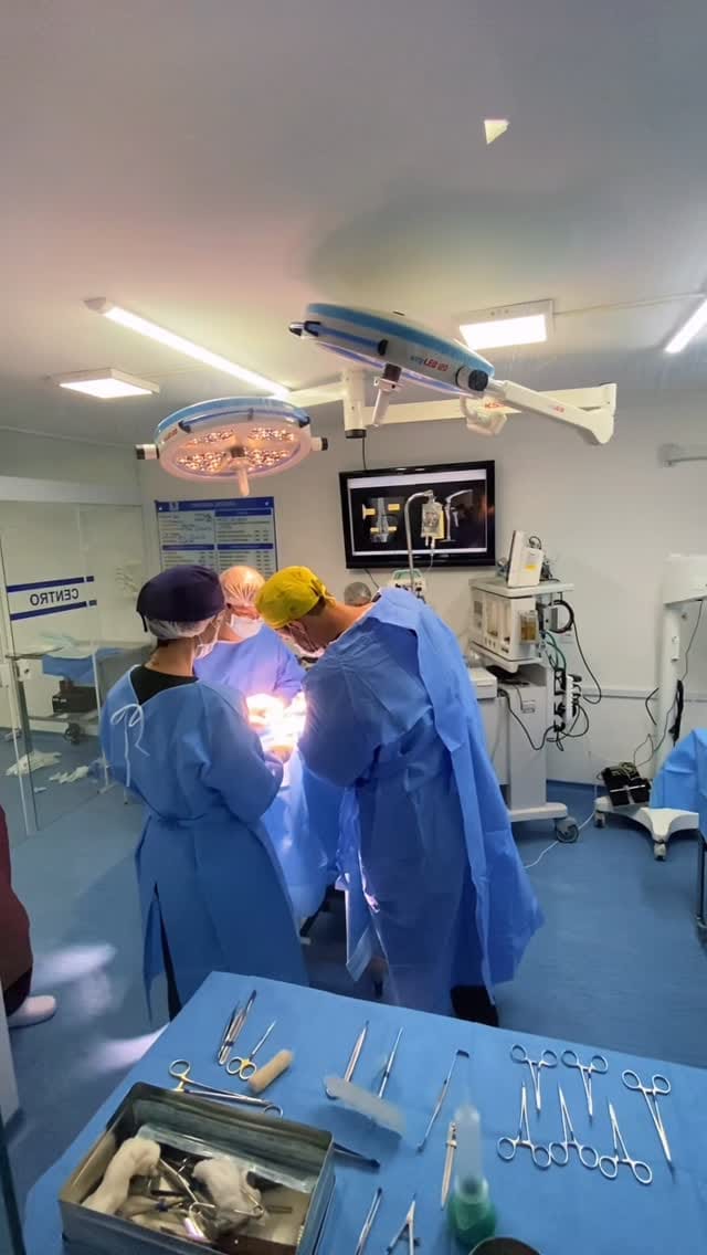 Post 5 by Ortho Support Pet on Instagram (video)