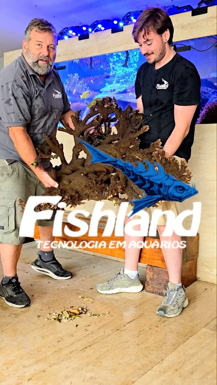 Post 8 by Fishland Aquários 🇧🇷 on Instagram (video)