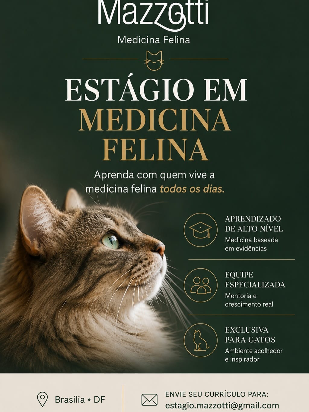 Post 3 by Mazzotti Medicina Felina on Instagram (carousel)