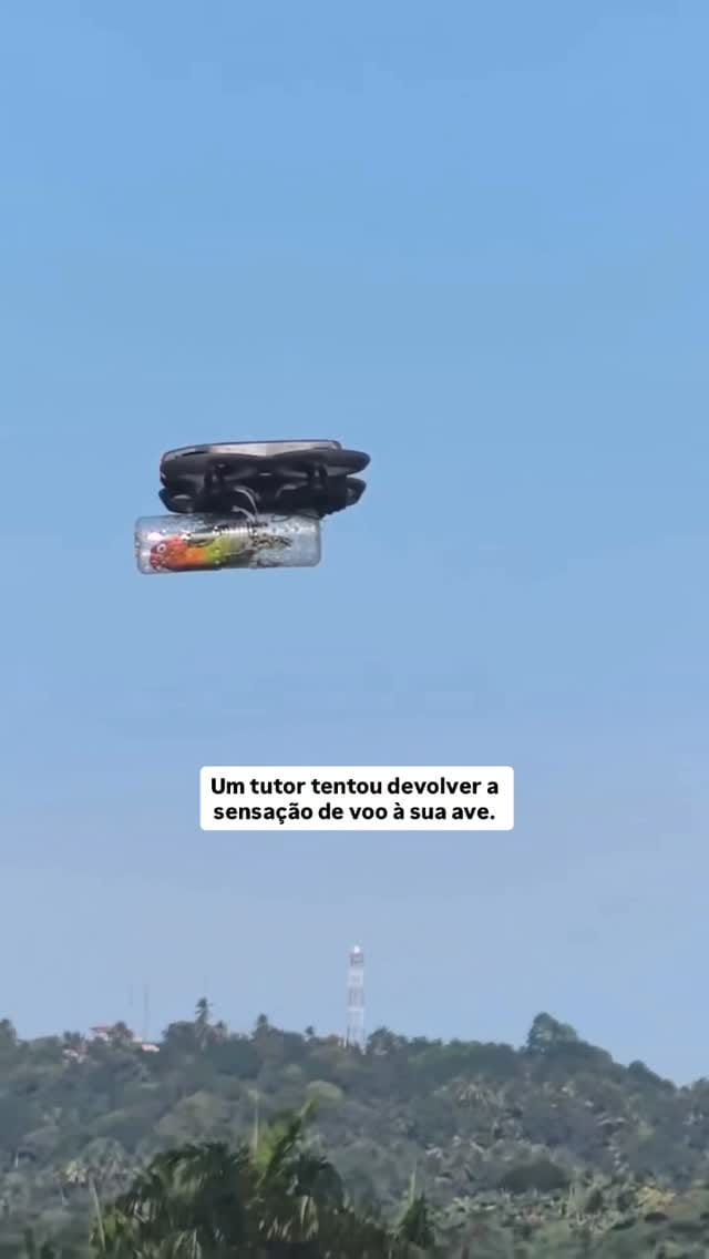 Post 7 by Salva Pet Domiciliar on Instagram (video)