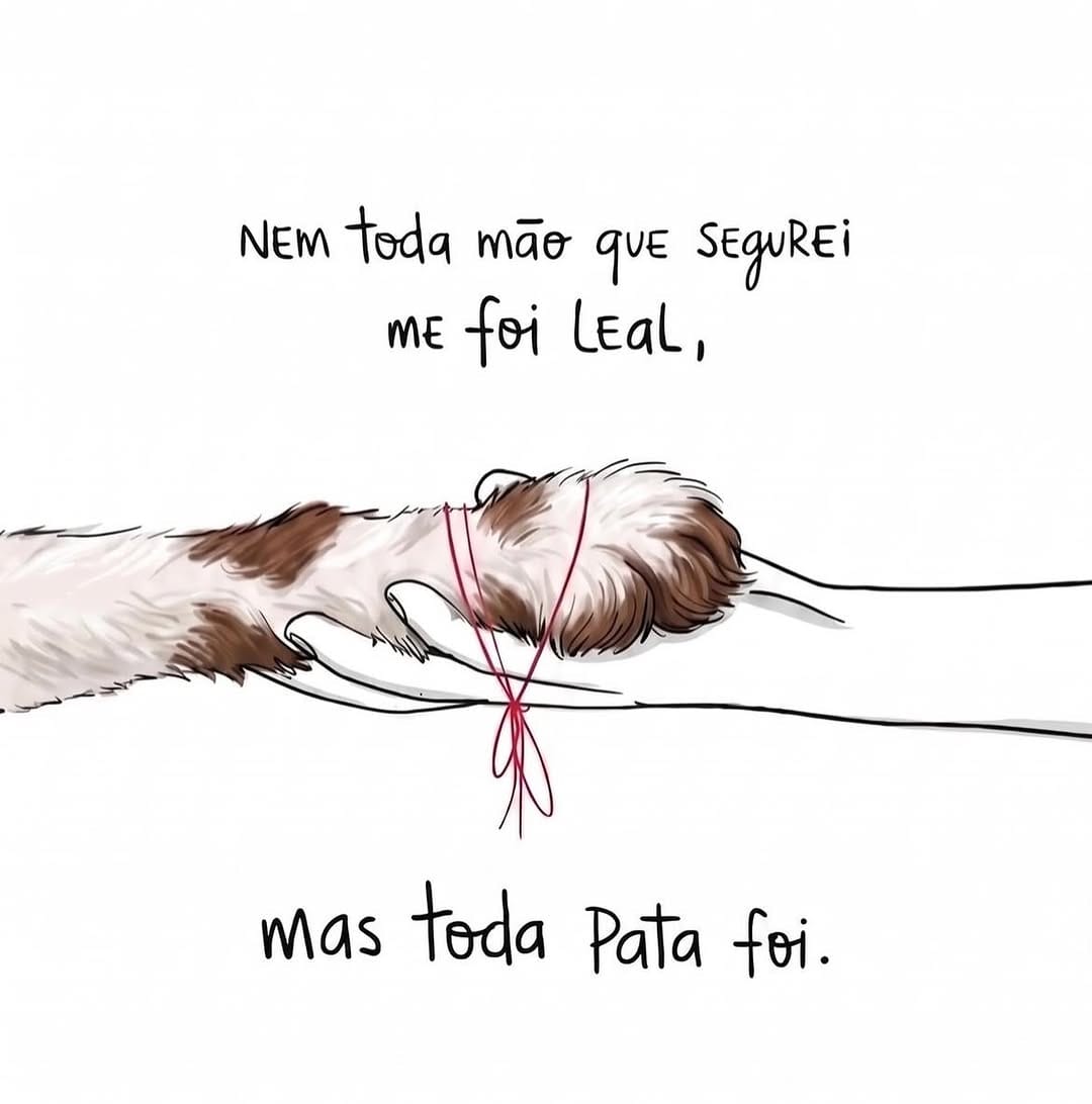 Post 6 by Salva Pet Domiciliar on Instagram (image)