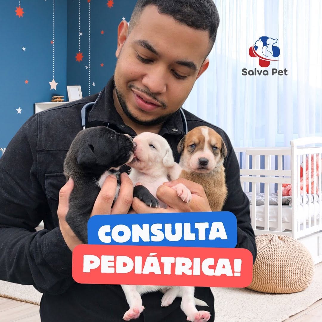 Post 8 by Salva Pet Domiciliar on Instagram (image)