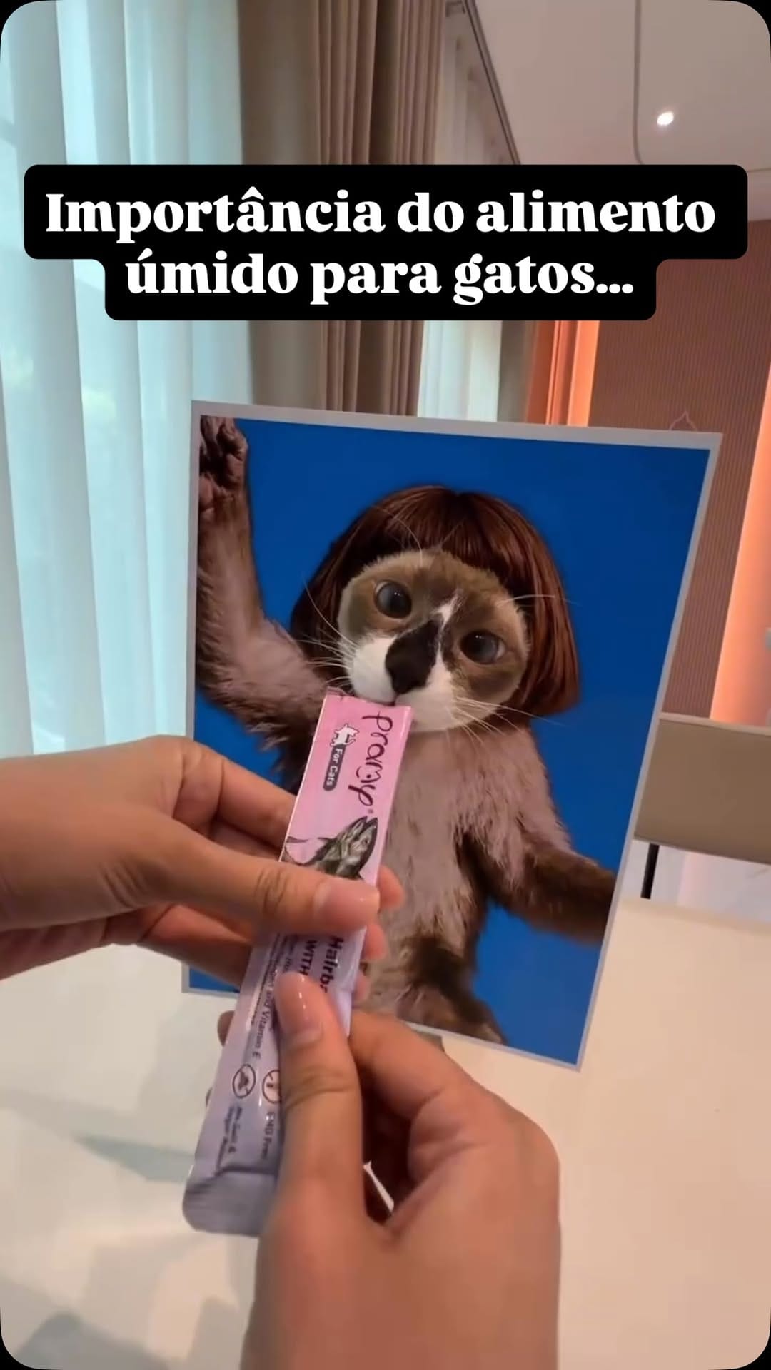 Post 3 by Salva Pet Domiciliar on Instagram (video)