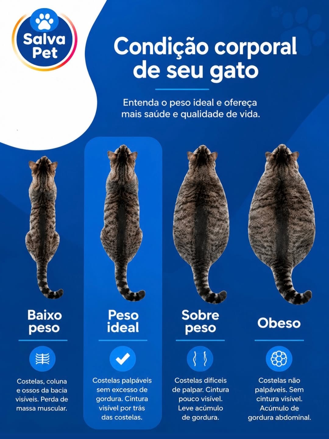 Post 2 by Salva Pet Domiciliar on Instagram (image)