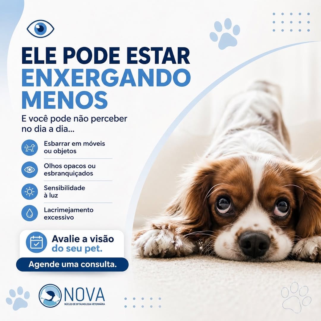 Post 7 by NOVA - Núcleo de Oftalmologia Veterinária on Instagram (image)