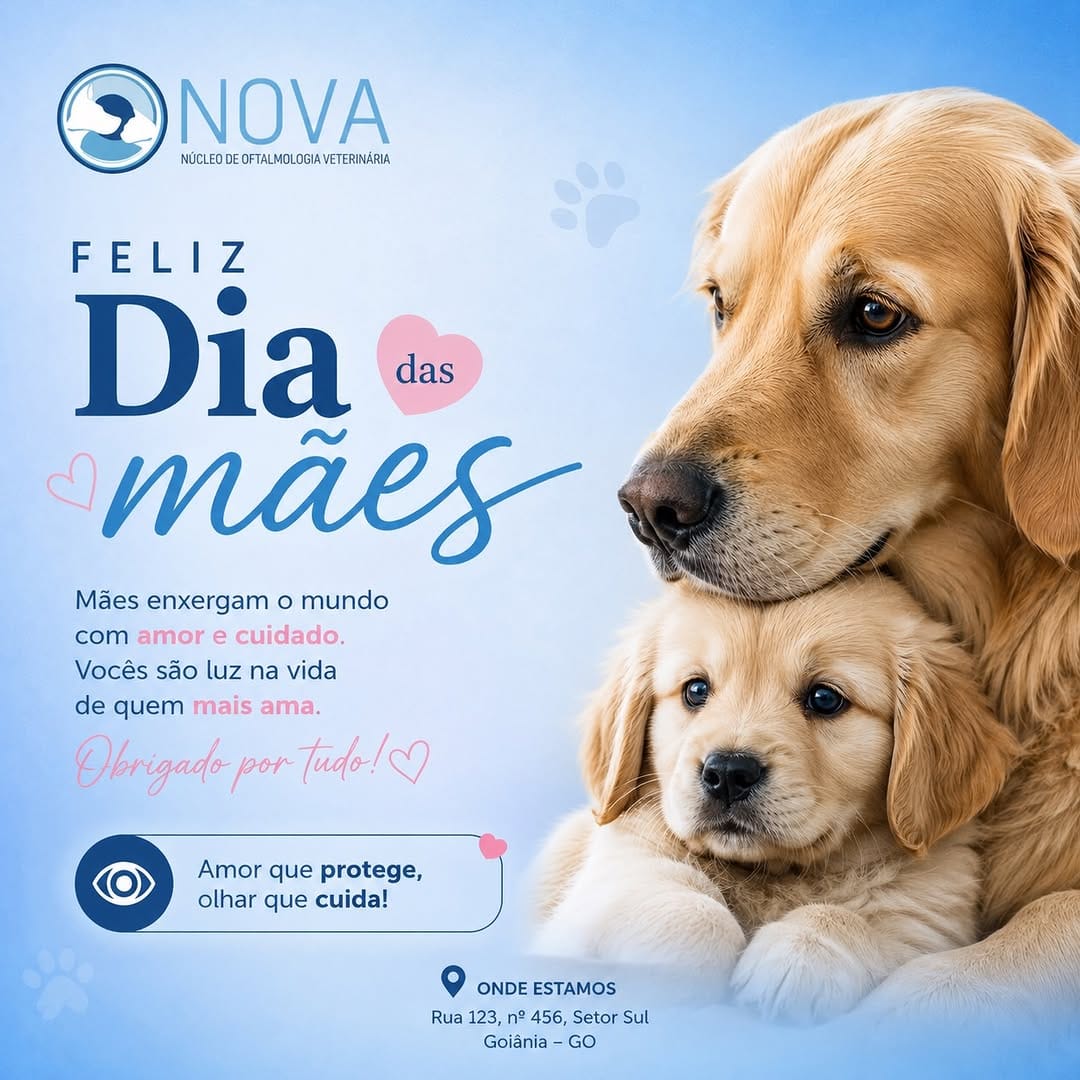 Post 5 by NOVA - Núcleo de Oftalmologia Veterinária on Instagram (image)