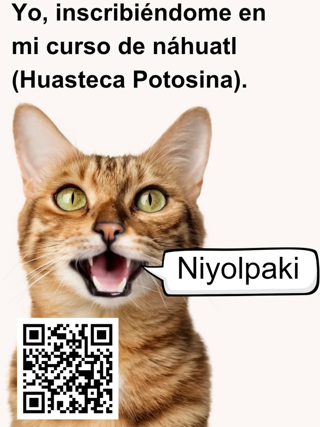 Post 5 by Colectivo de lengua y cultura náhuatl on Instagram (image)