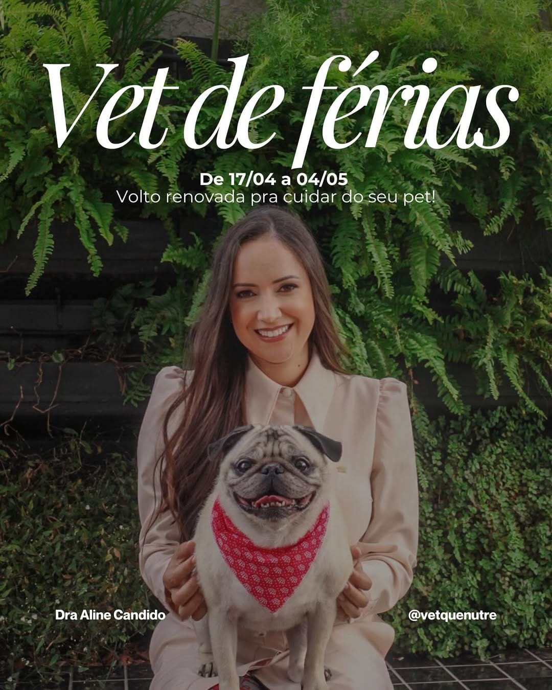 Post 4 by Aline Candido | Veterinária a domicílio Curitiba on Instagram (image)