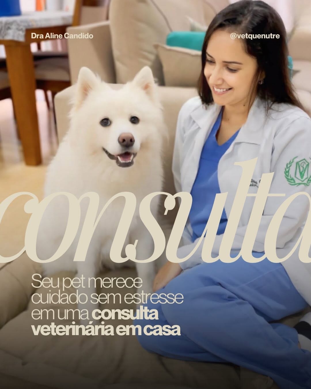 Post 2 by Aline Candido | Veterinária a domicílio Curitiba on Instagram (carousel)