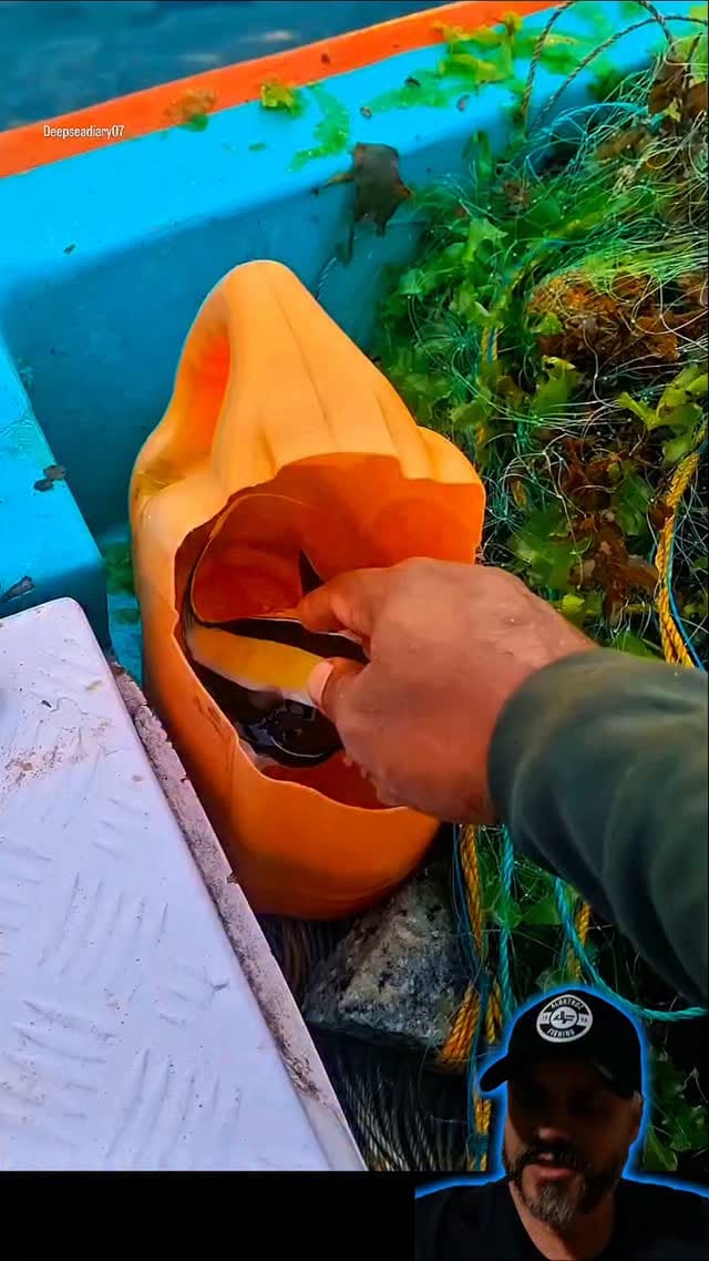Post 5 by Triton South America on Instagram (video)