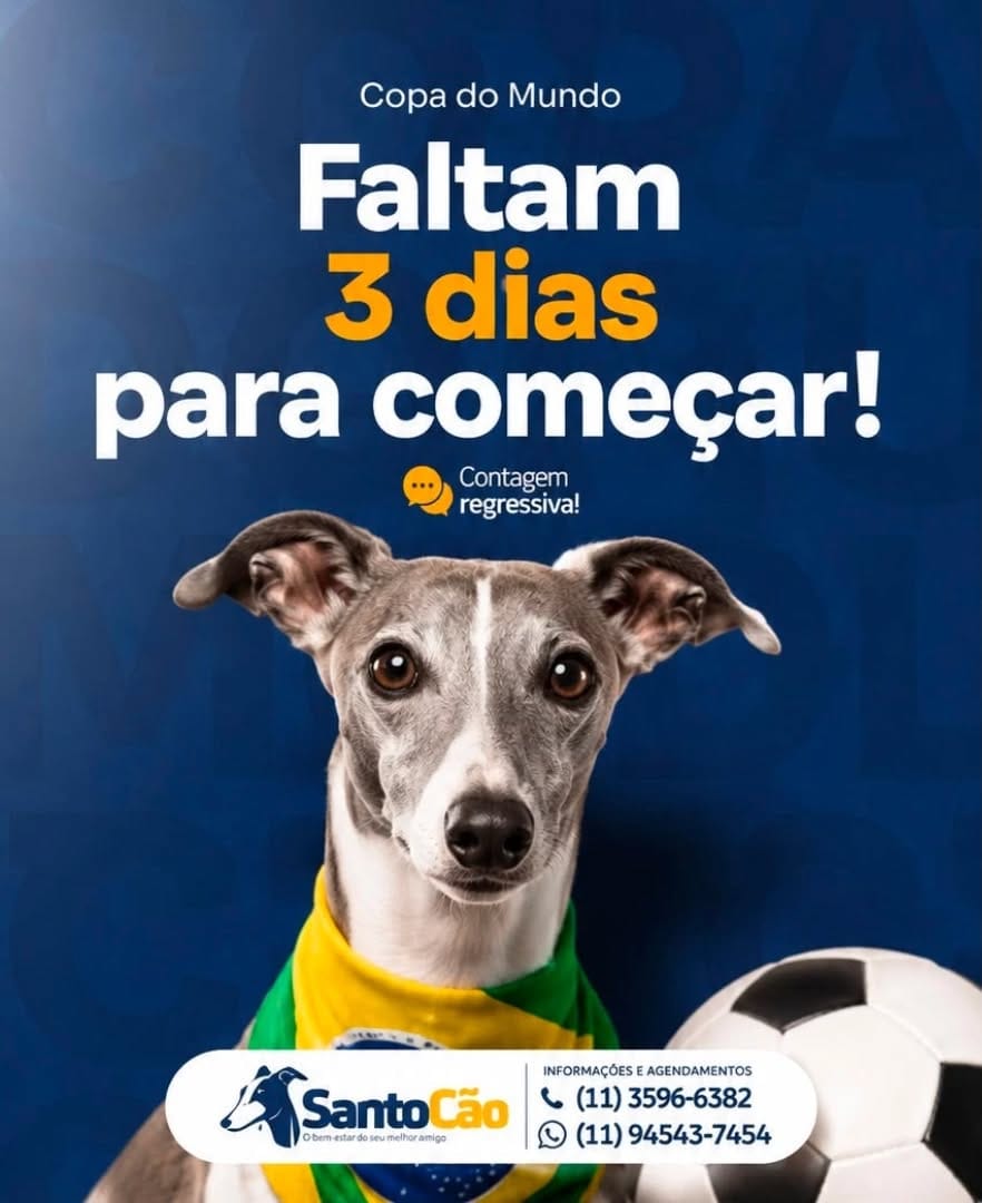 Post 1 by SANTO CÃO - Clínica Veterinária e Pet Shop on Instagram (image)