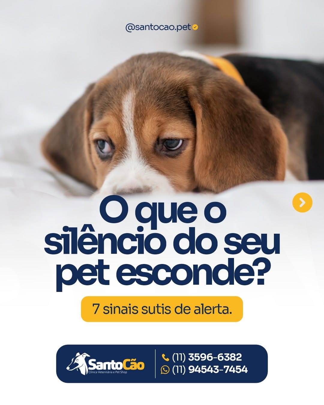 Post 3 by SANTO CÃO - Clínica Veterinária e Pet Shop on Instagram (carousel)
