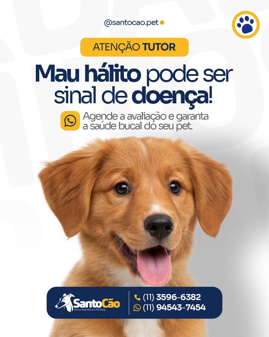 Post 8 by SANTO CÃO - Clínica Veterinária e Pet Shop on Instagram (image)