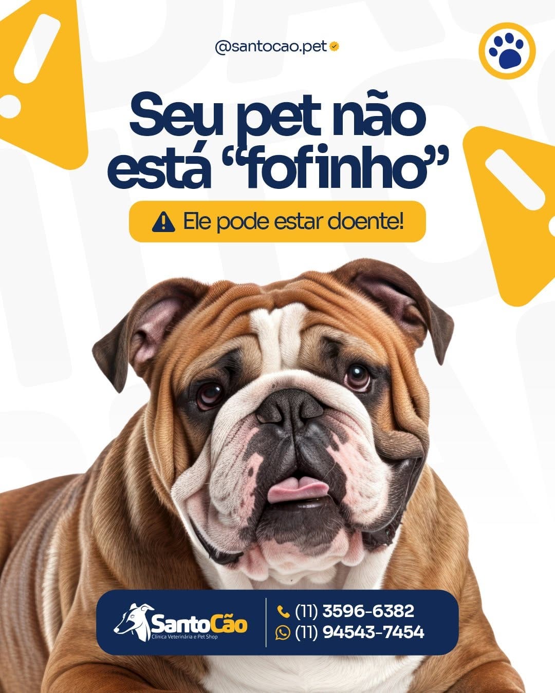 Post 5 by SANTO CÃO - Clínica Veterinária e Pet Shop on Instagram (carousel)