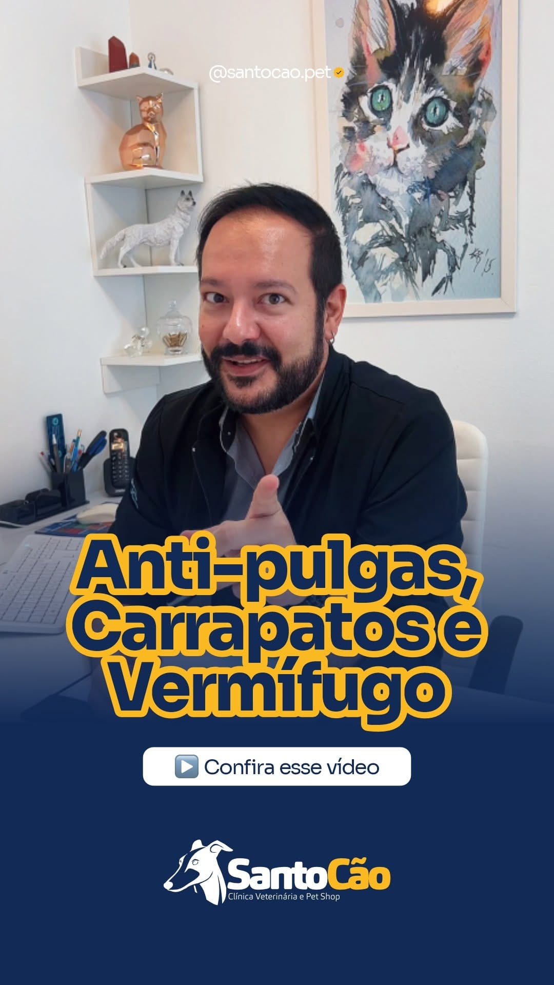 Post 4 by SANTO CÃO - Clínica Veterinária e Pet Shop on Instagram (video)