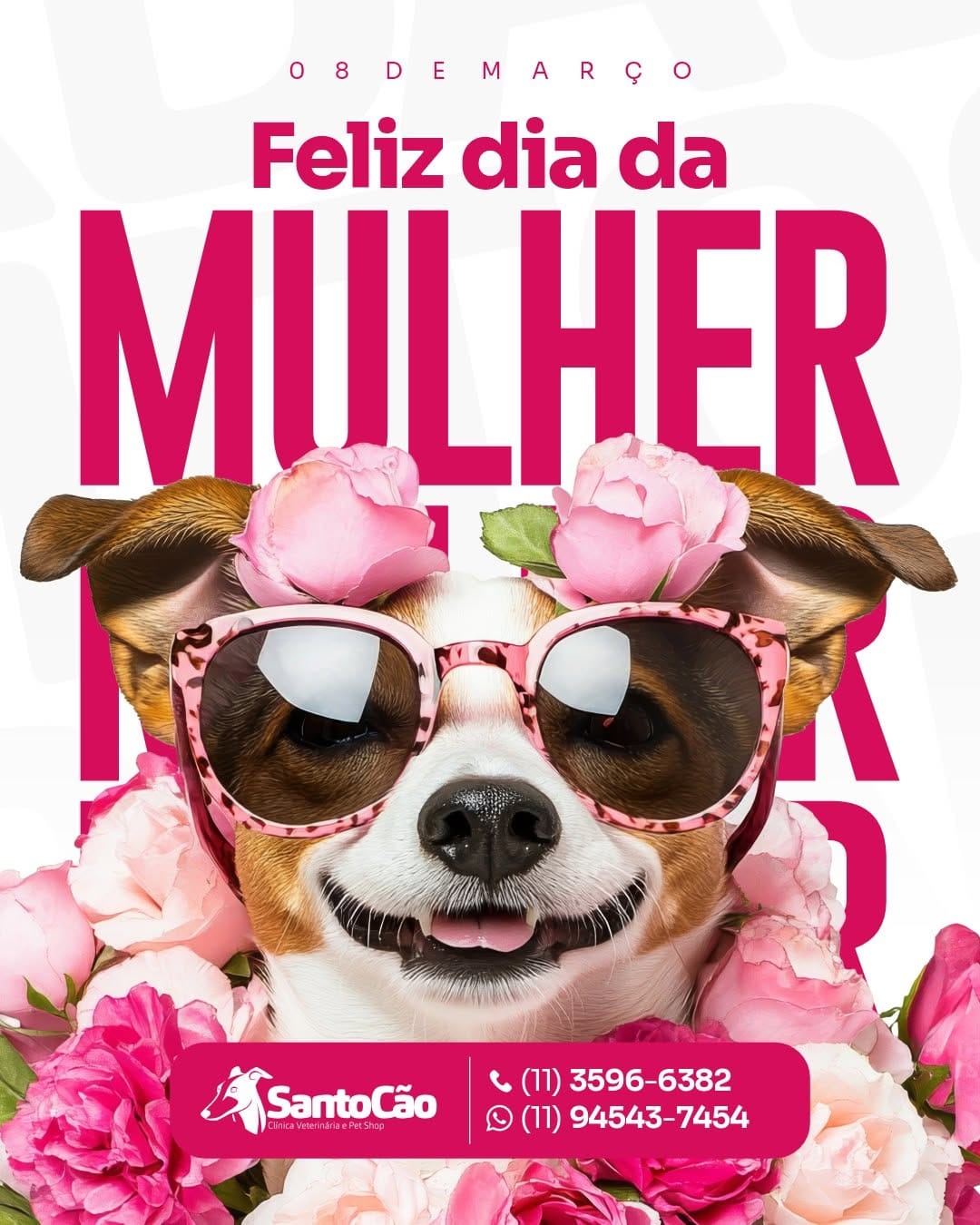 Post 7 by SANTO CÃO - Clínica Veterinária e Pet Shop on Instagram (image)