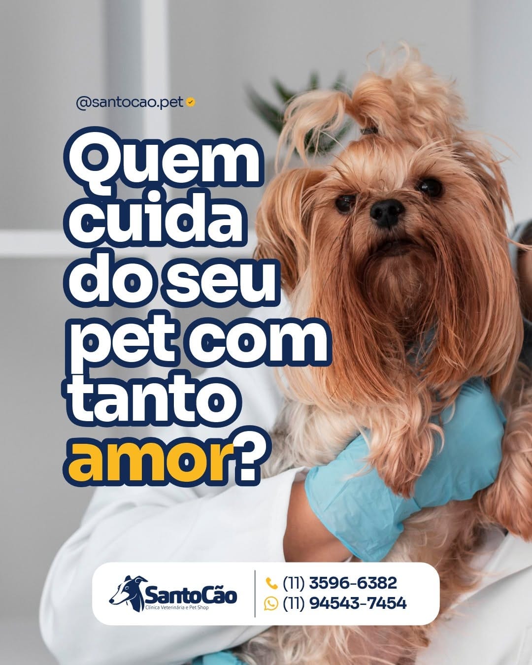 Post 9 by SANTO CÃO - Clínica Veterinária e Pet Shop on Instagram (image)