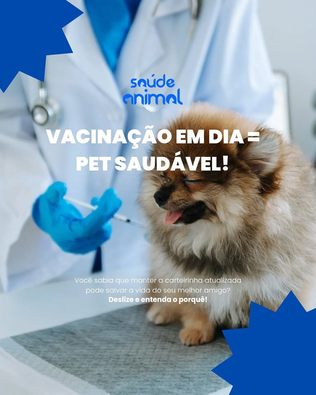 Post 8 by Hospital Veterinário Saúde Animal  (24h) on Instagram (carousel)