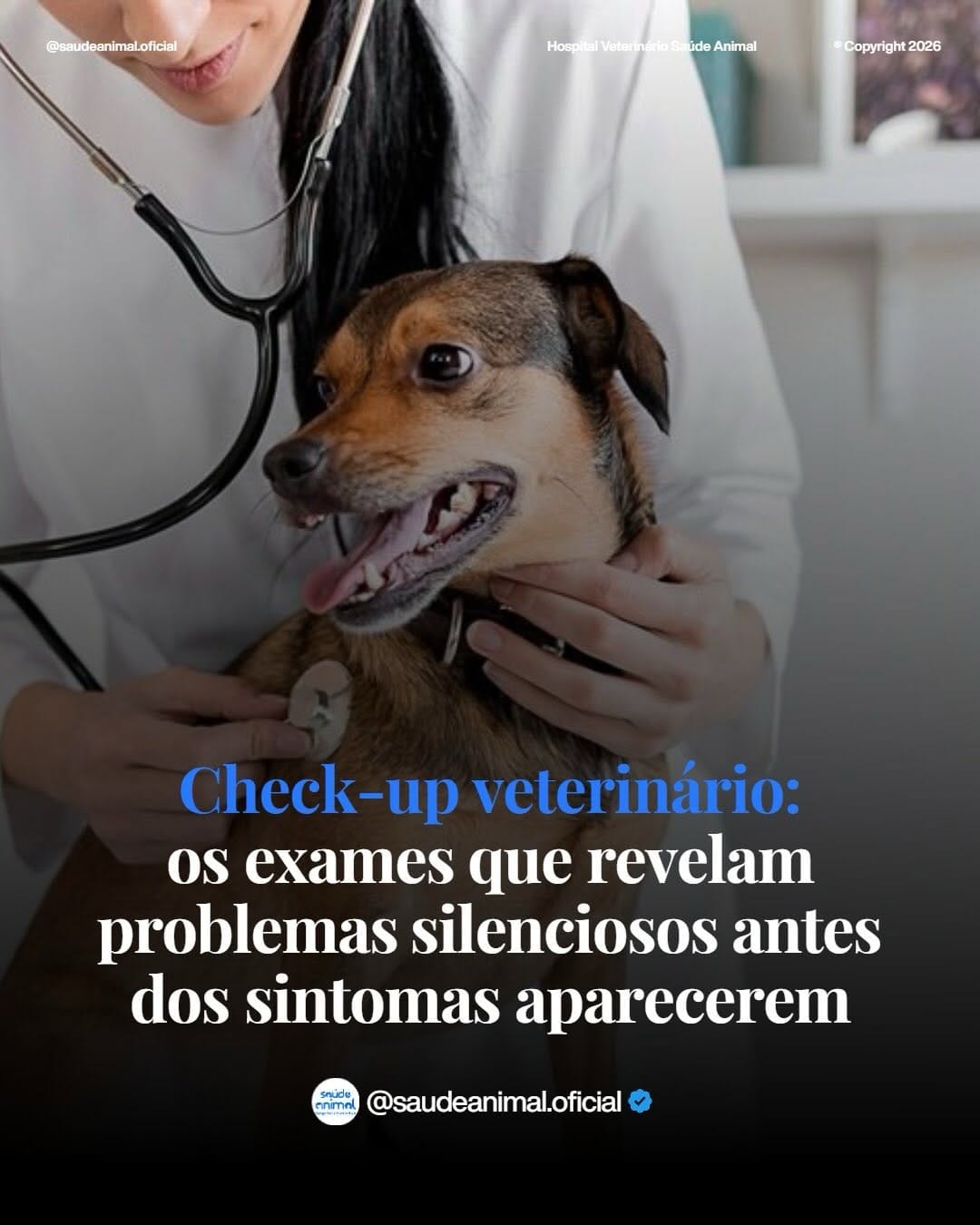 Post 4 by Hospital Veterinário Saúde Animal  (24h) on Instagram (carousel)