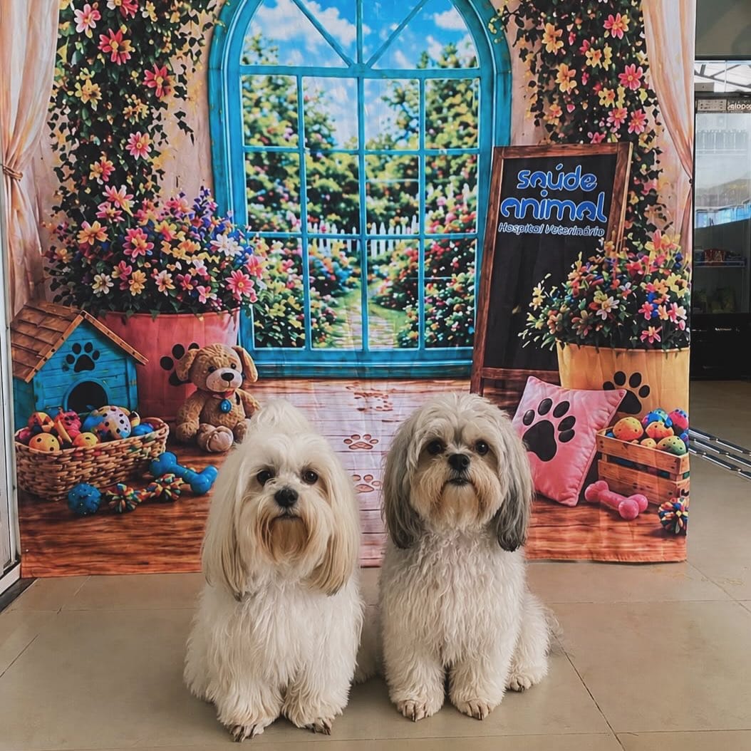 Post 2 by Hospital Veterinário Saúde Animal  (24h) on Instagram (image)