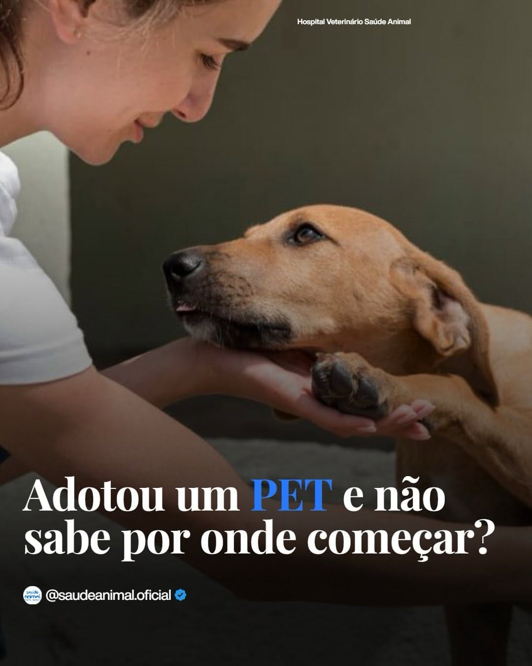 Post 3 by Hospital Veterinário Saúde Animal  (24h) on Instagram (carousel)
