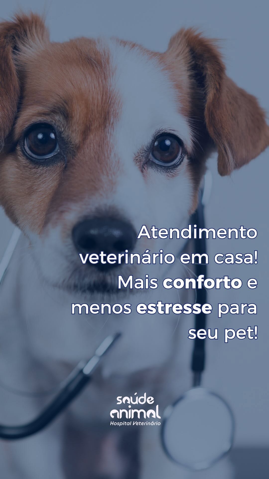 Post 10 by Hospital Veterinário Saúde Animal  (24h) on Instagram (video)