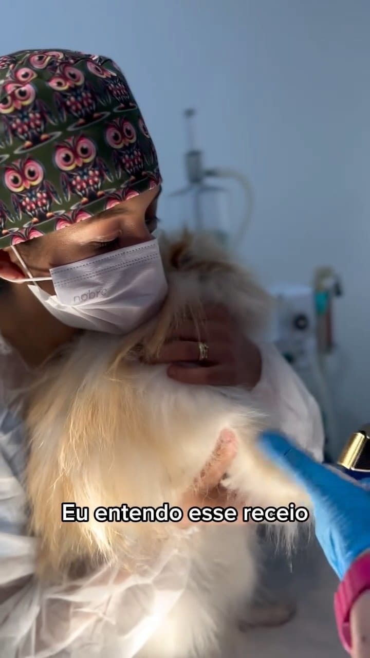 Post 9 by Kimberlly | Dentista Veterinária on Instagram (video)