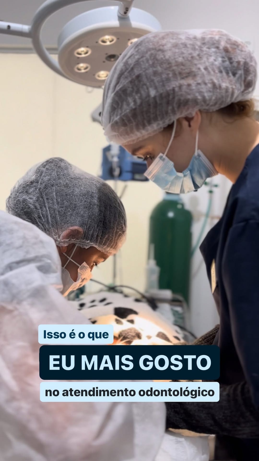 Post 10 by Kimberlly | Dentista Veterinária on Instagram (video)