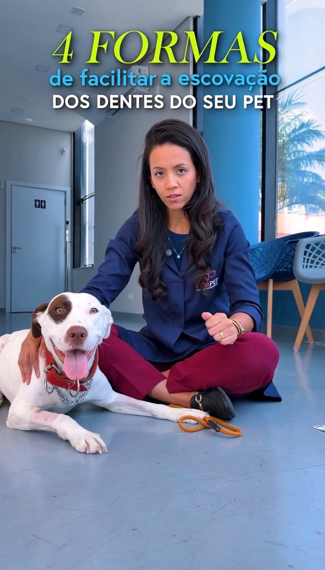 Post 4 by Kimberlly | Dentista Veterinária on Instagram (video)