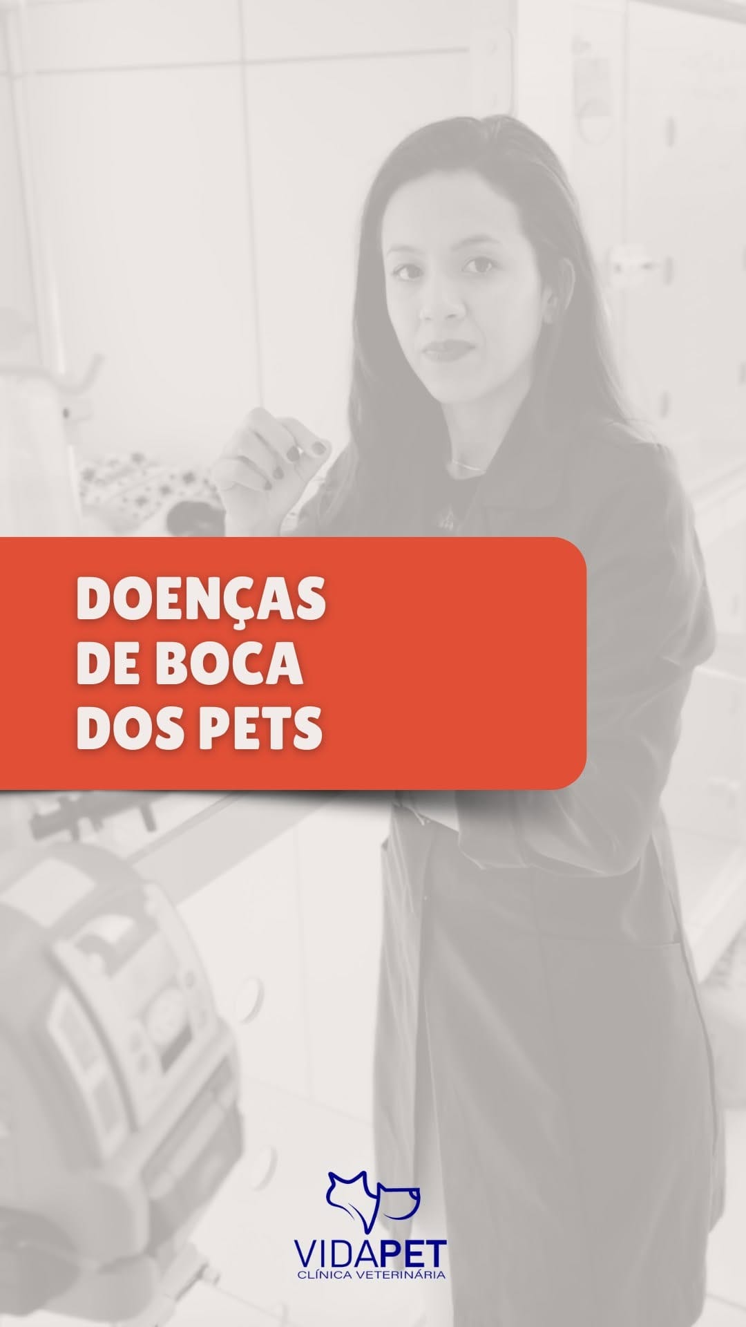 Post 7 by Kimberlly | Dentista Veterinária on Instagram (video)