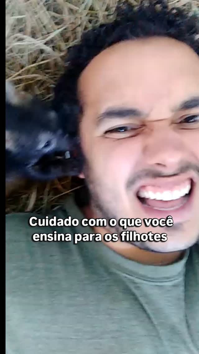 Post 4 by Veterinário🦎🦉🐶🐱 Renan Stadler on Instagram (video)