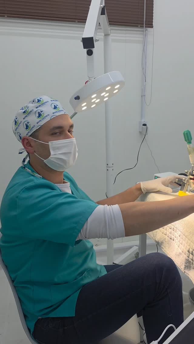 Post 2 by Veterinário🦎🦉🐶🐱 Renan Stadler on Instagram (video)