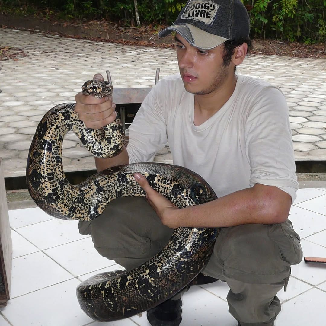Post 5 by Veterinário🦎🦉🐶🐱 Renan Stadler on Instagram (image)