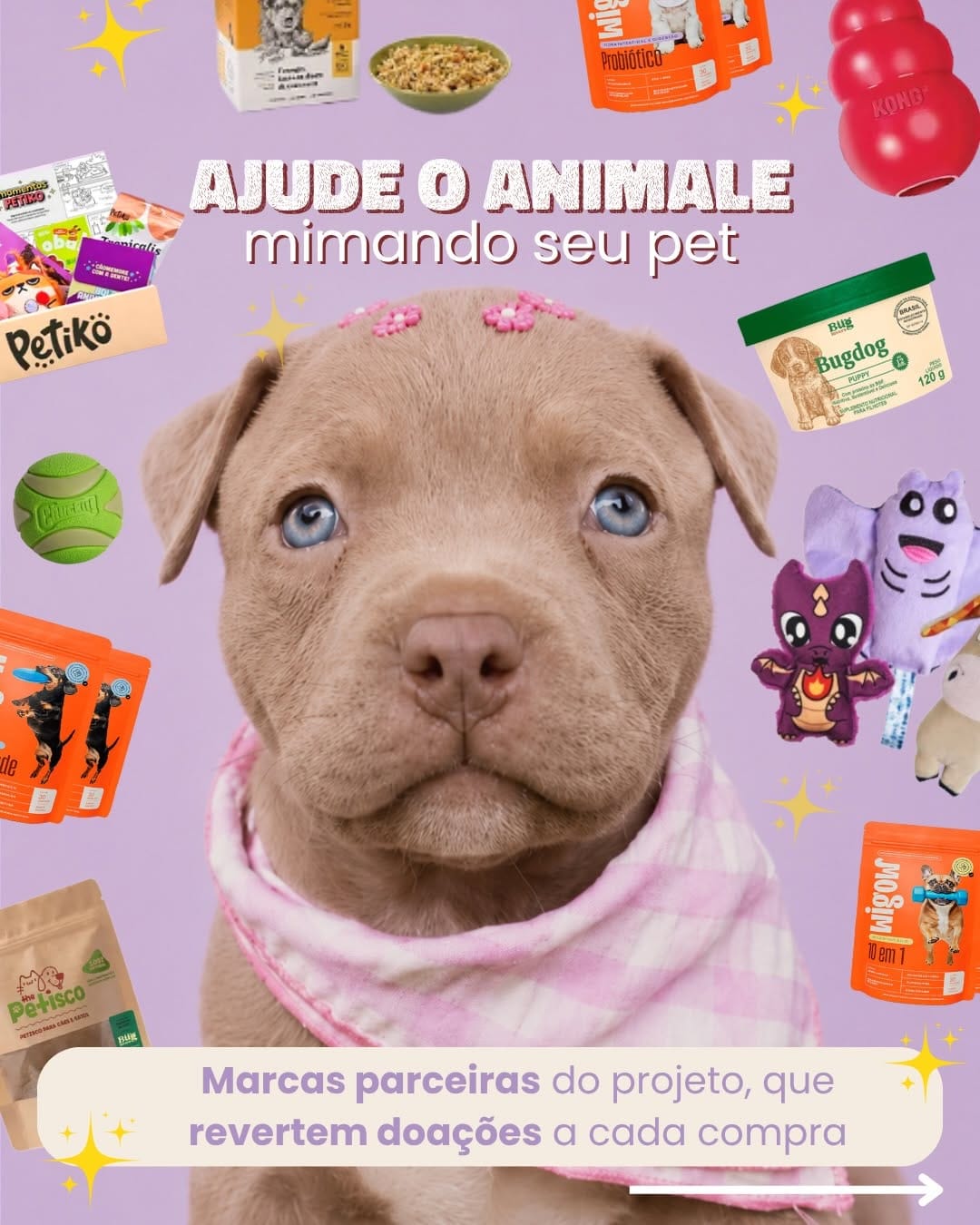 Post 4 by Instituto Animale on Instagram (carousel)