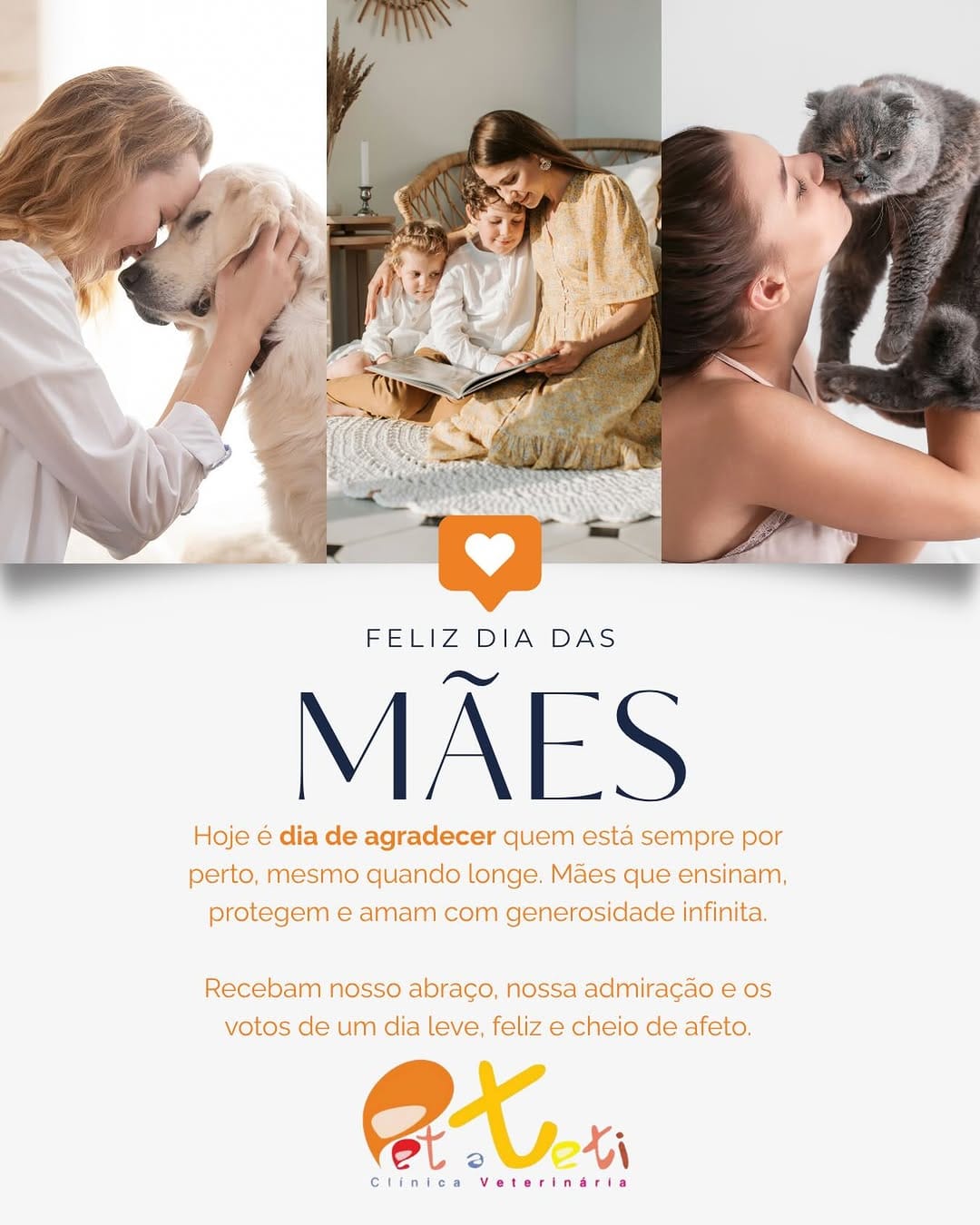 Post 4 by Pet a Teti | Clínica Veterinária on Instagram (image)