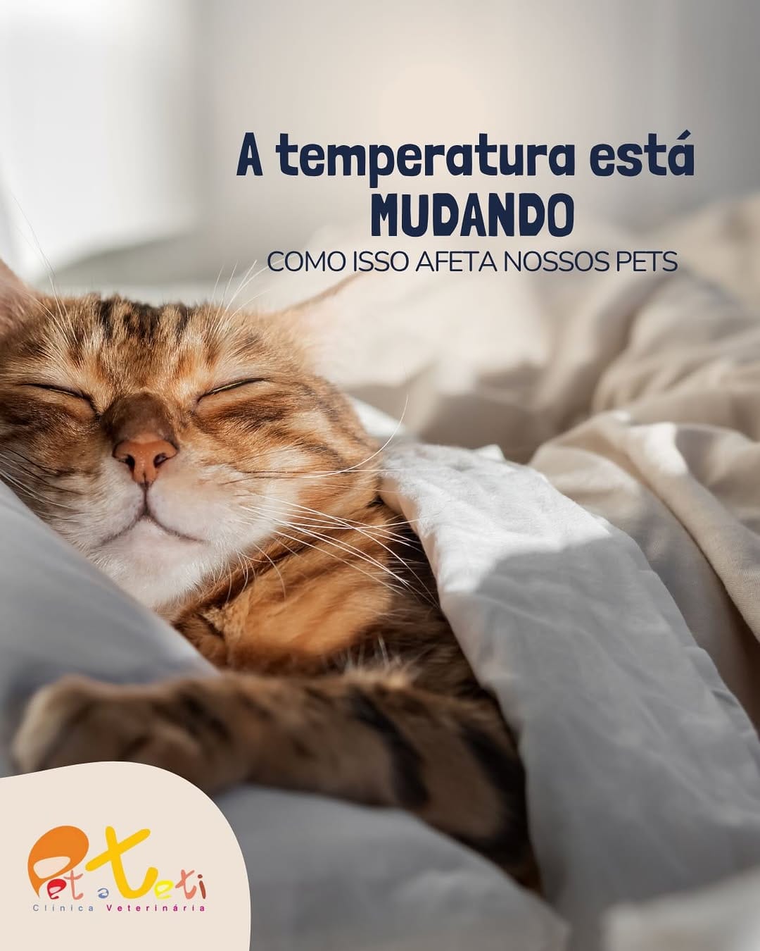 Post 6 by Pet a Teti | Clínica Veterinária on Instagram (image)