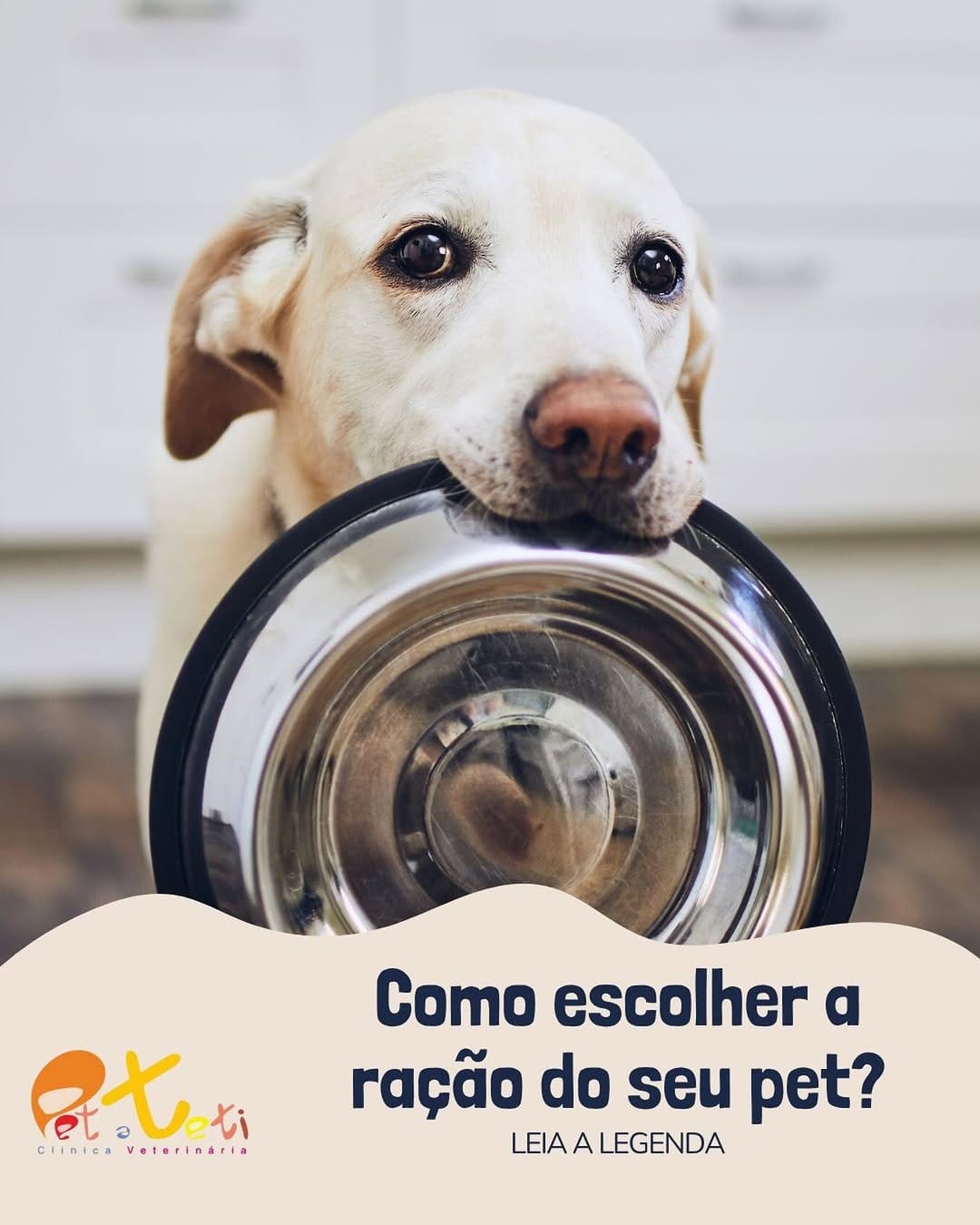 Post 2 by Pet a Teti | Clínica Veterinária on Instagram (image)