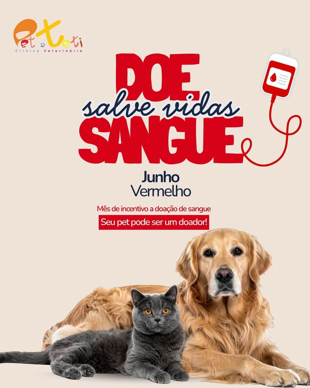 Post 1 by Pet a Teti | Clínica Veterinária on Instagram (image)