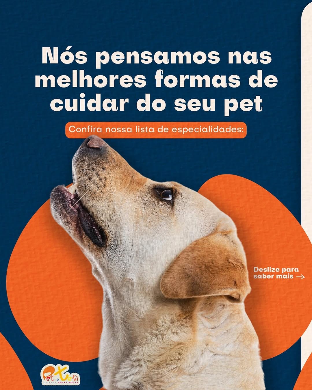 Post 10 by Pet a Teti | Clínica Veterinária on Instagram (carousel)