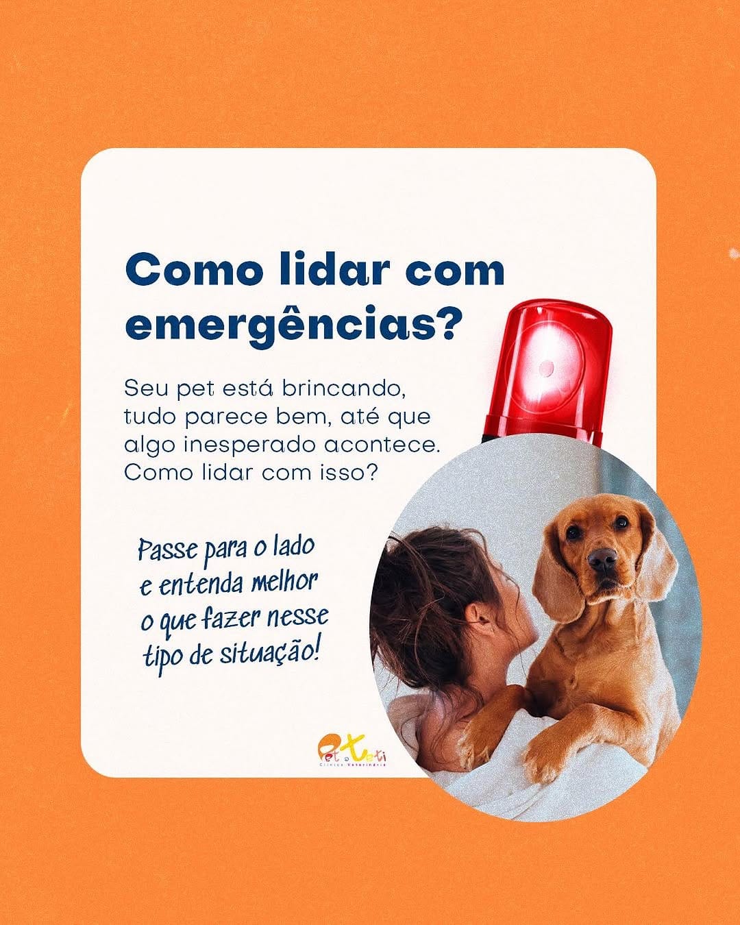 Post 9 by Pet a Teti | Clínica Veterinária on Instagram (carousel)