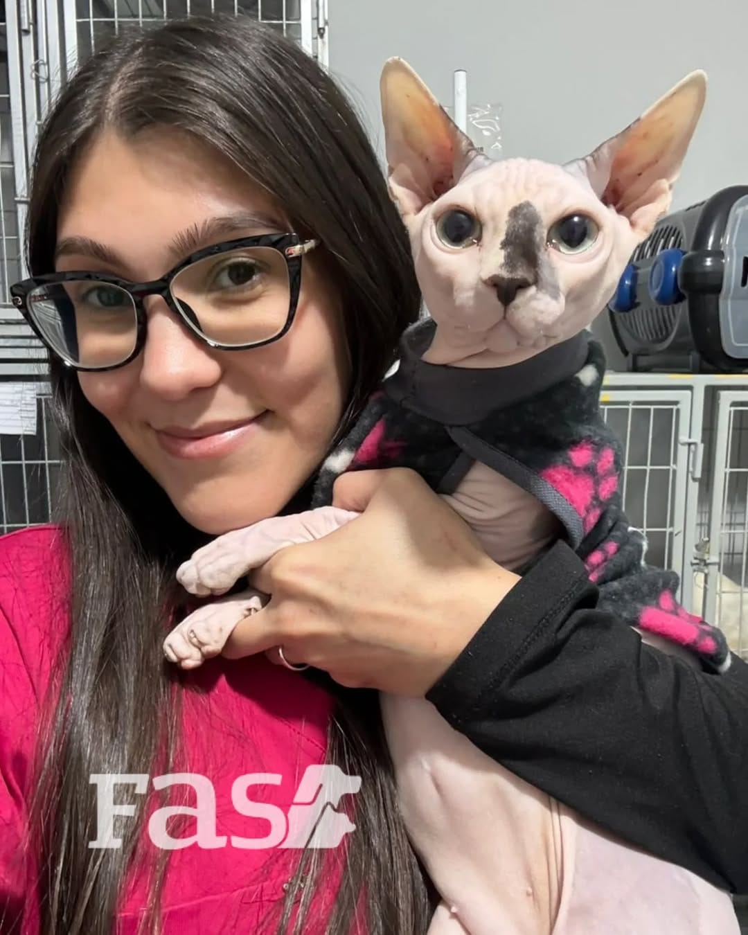 Post 5 by FAS - Medicina Veterinária on Instagram (image)
