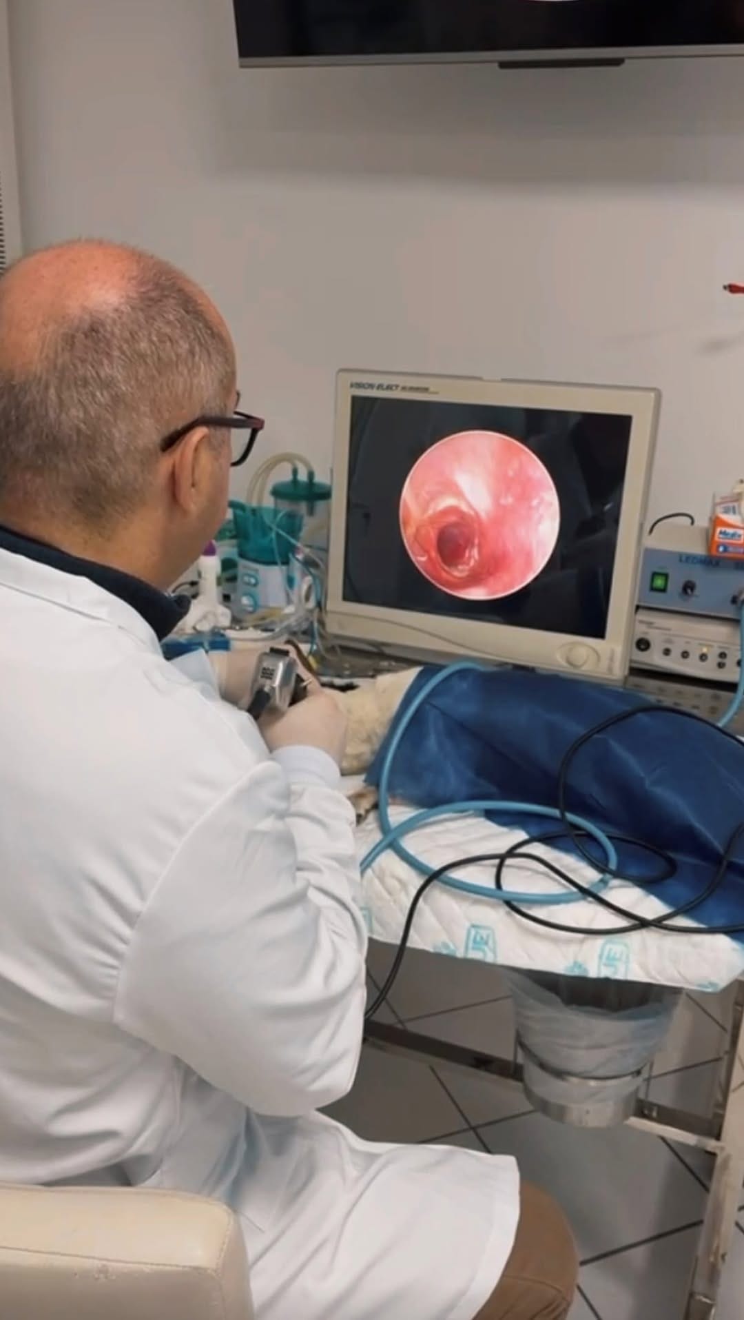 Post 5 by UNIVET on Instagram (video)