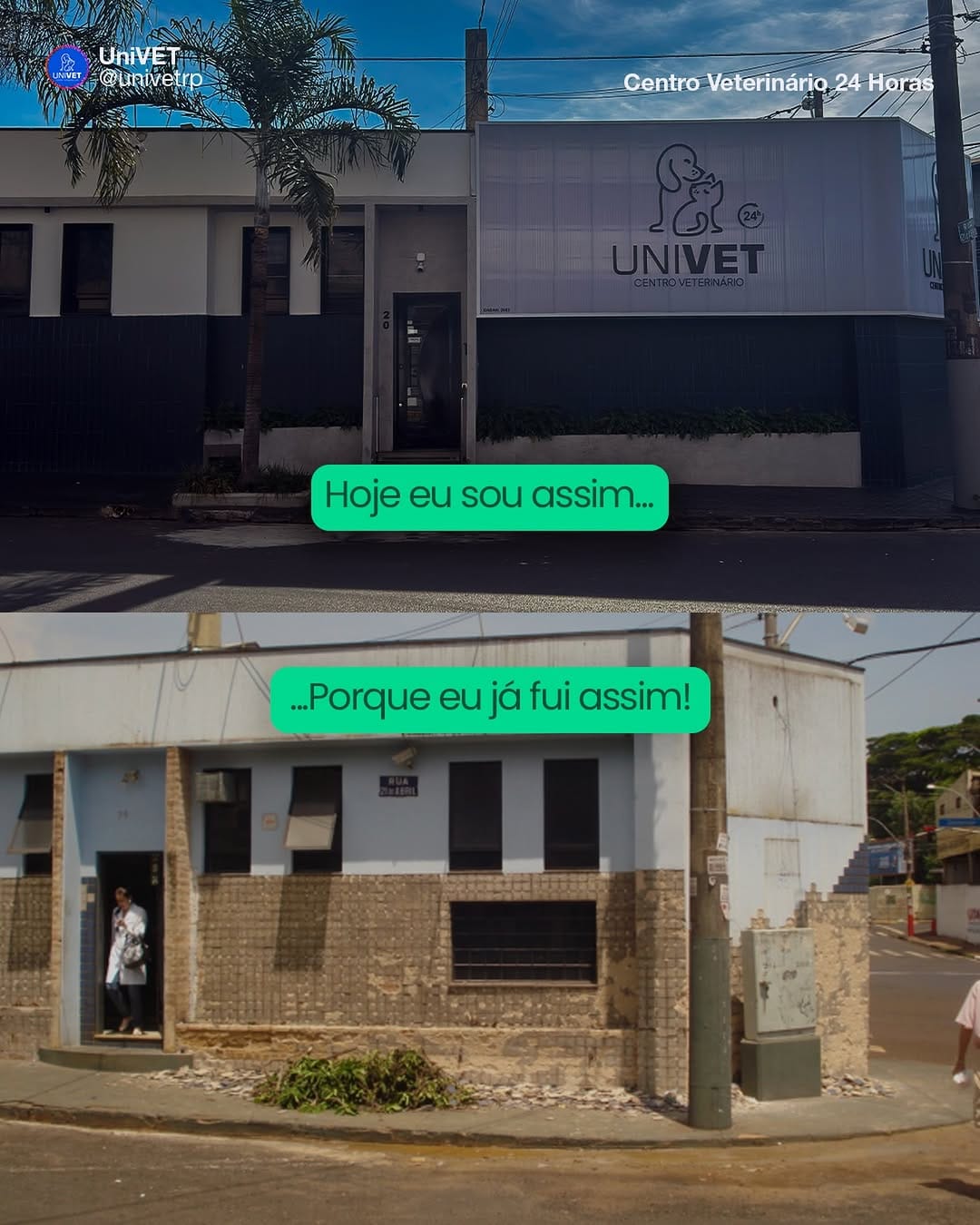 Post 4 by UNIVET on Instagram (image)
