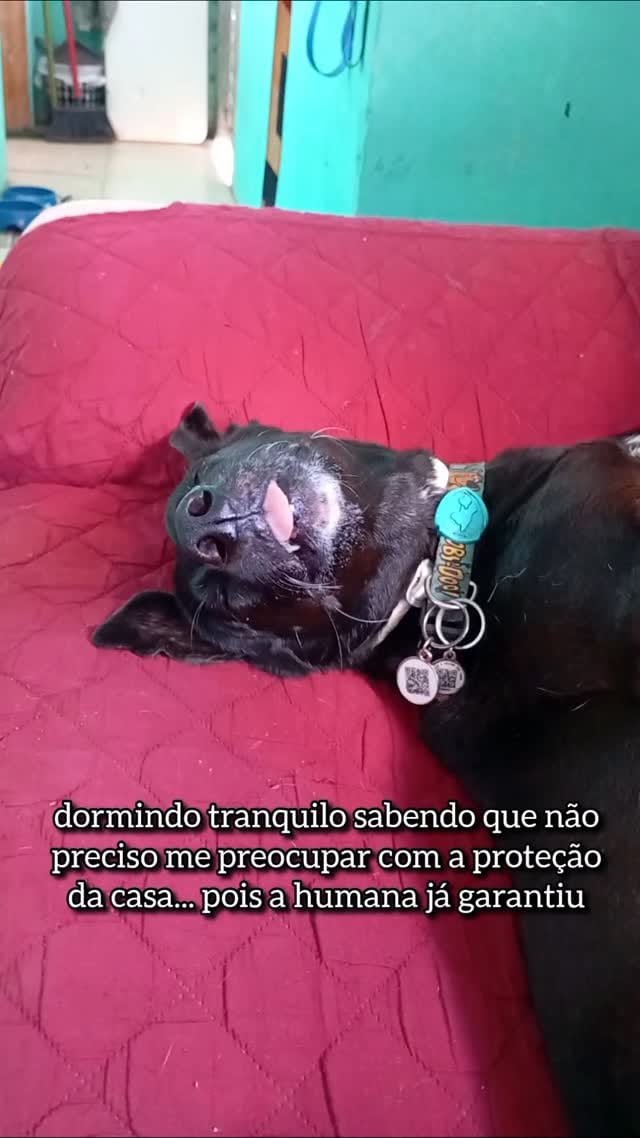 Post 7 by ZEUSZINHO⚡ on Instagram (video)