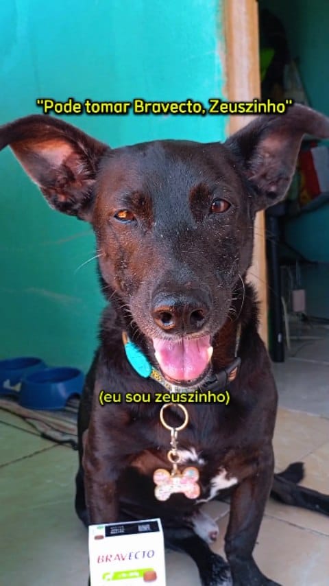 Post 9 by ZEUSZINHO⚡ on Instagram (video)