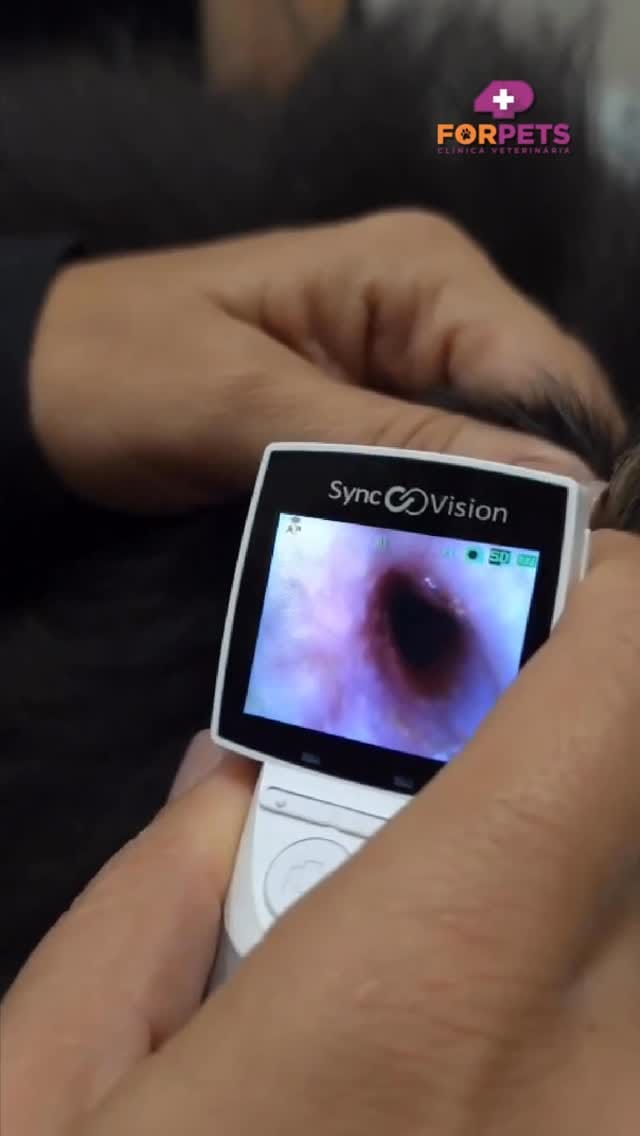Post 10 by ForPets Clínica Veterinária on Instagram (video)